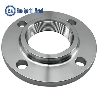 Hastelloy C276 DIN 86029 86030 Oval Plain Threaded Flanges