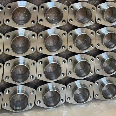 سٹینلیس سٹیل 304 SAE flange